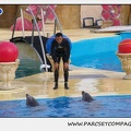 Marineland - Dauphins - Spectacle 17h45 - 1926