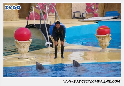Marineland - Dauphins - Spectacle 17h45 - 1926