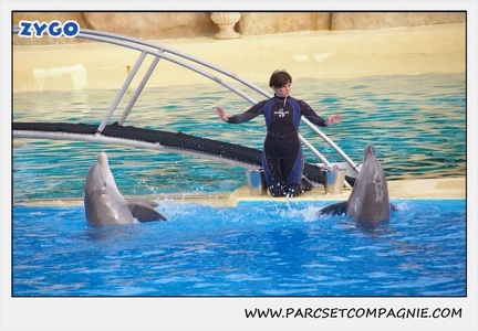Marineland - Dauphins - Spectacle 17h45 - 1927