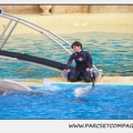 Marineland - Dauphins - Spectacle 17h45 - 1930