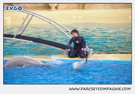 Marineland - Dauphins - Spectacle 17h45 - 1930
