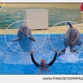Marineland - Dauphins - Spectacle 17h45 - 1931