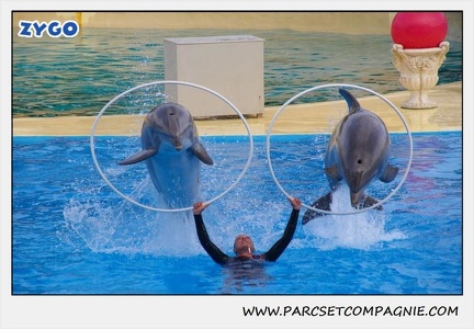 Marineland - Dauphins - Spectacle 17h45 - 1931