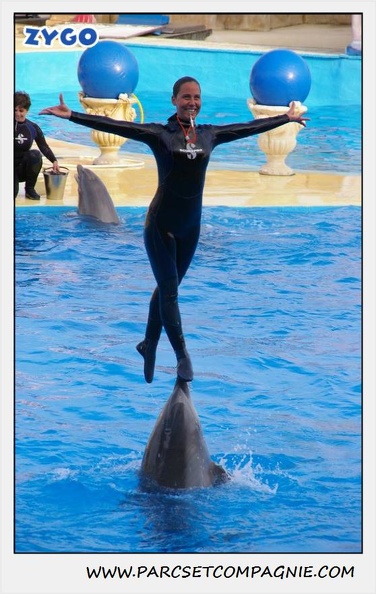 Marineland - Dauphins - Spectacle 17h45 - 1932