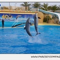 Marineland - Dauphins - Spectacle 17h45 - 1934