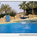 Marineland - Dauphins - Spectacle 17h45 - 1935