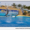 Marineland - Dauphins - Spectacle 17h45 - 1936
