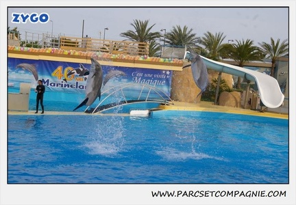 Marineland - Dauphins - Spectacle 17h45 - 1936