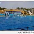 Marineland - Dauphins - Spectacle 17h45 - 1937