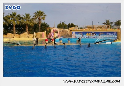 Marineland - Dauphins - Spectacle 17h45 - 1940