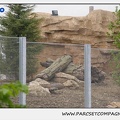 Marineland - Ours Polaires - Travaux - 2608