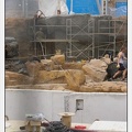 Marineland - Ours Polaires - Travaux - 2617