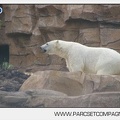 Marineland - Inauguration enclos ours polaires - 2680