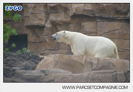Marineland - Inauguration enclos ours polaires - 2680