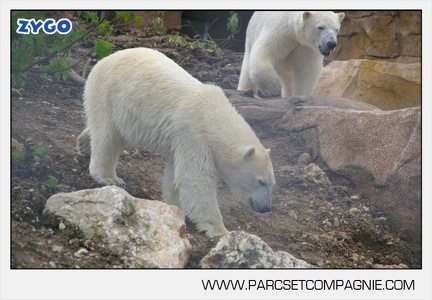 Marineland - Inauguration enclos ours polaires - 2688
