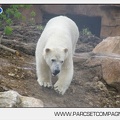 Marineland - Inauguration enclos ours polaires - 2691