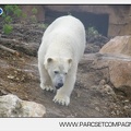 Marineland - Inauguration enclos ours polaires - 2692