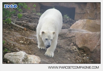 Marineland - Inauguration enclos ours polaires - 2692