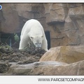 Marineland - Inauguration enclos ours polaires - 2697