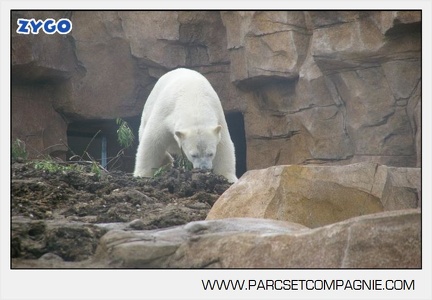 Marineland - Inauguration enclos ours polaires - 2697
