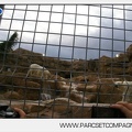 Marineland - Inauguration enclos ours polaires - 2710