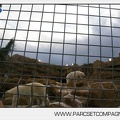 Marineland - Inauguration enclos ours polaires - 2711