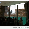 Marineland - Inauguration enclos ours polaires - 2712