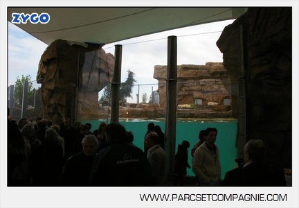 Marineland - Inauguration enclos ours polaires - 2713