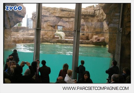 Marineland - Inauguration enclos ours polaires - 2714