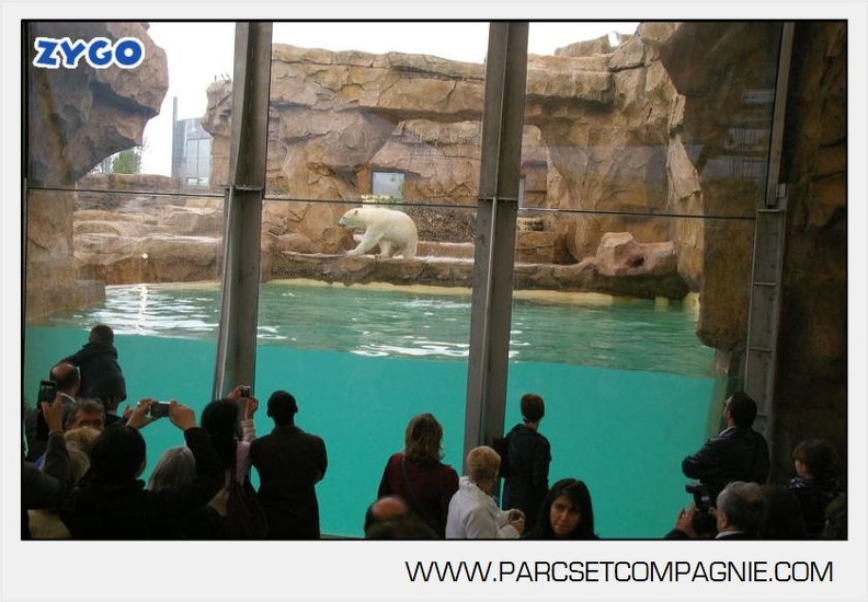Marineland_-_Inauguration_enclos_ours_polaires_-_2715.jpg