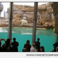 Marineland - Inauguration enclos ours polaires - 2715