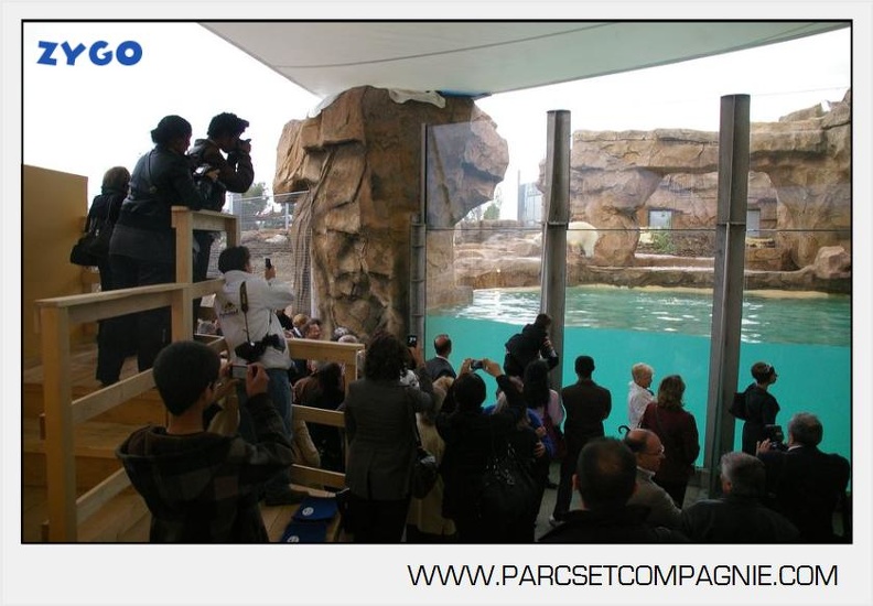 Marineland_-_Inauguration_enclos_ours_polaires_-_2716.jpg