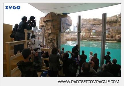 Marineland - Inauguration enclos ours polaires - 2716