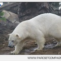 Marineland - Inauguration enclos ours polaires - 2724