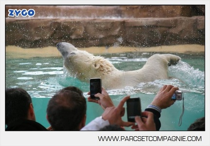 Marineland - Inauguration enclos ours polaires - 2730