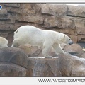 Marineland - Inauguration enclos ours polaires - 2732