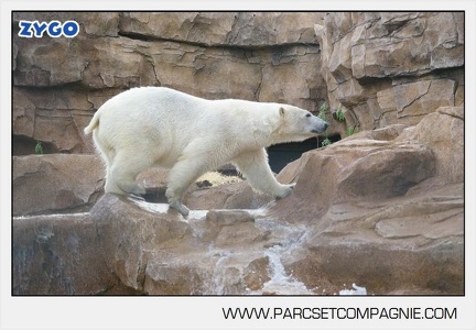 Marineland - Inauguration enclos ours polaires - 2733