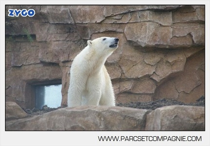 Marineland - Inauguration enclos ours polaires - 2734