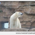 Marineland - Inauguration enclos ours polaires - 2736