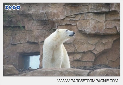 Marineland - Inauguration enclos ours polaires - 2736