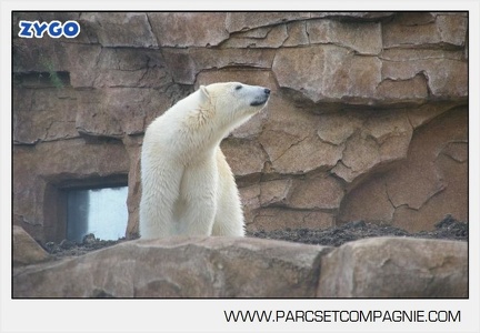 Marineland - Inauguration enclos ours polaires - 2737