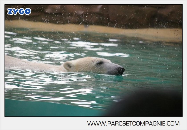 Marineland_-_Inauguration_enclos_ours_polaires_-_2740.jpg