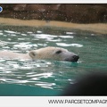 Marineland - Inauguration enclos ours polaires - 2740