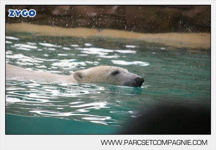 Marineland - Inauguration enclos ours polaires - 2740
