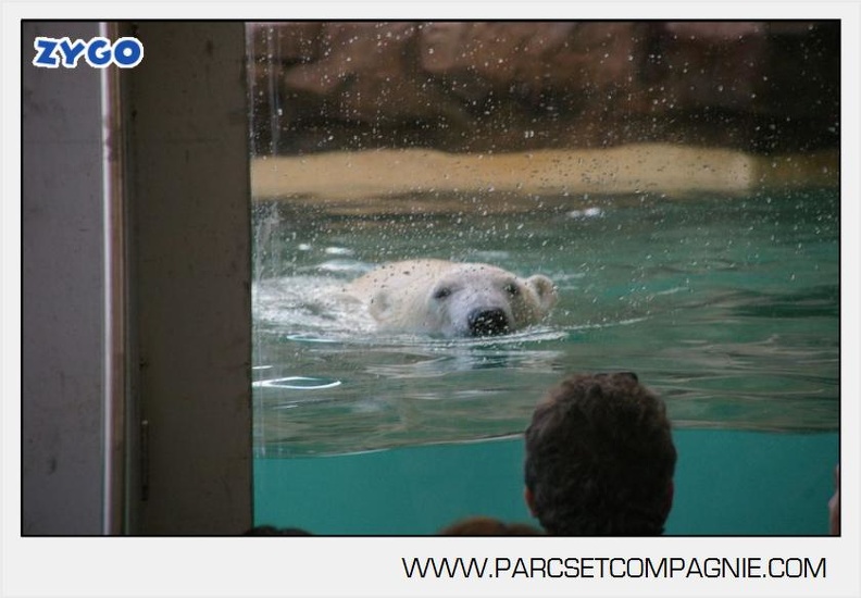 Marineland_-_Inauguration_enclos_ours_polaires_-_2741.jpg