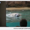 Marineland - Inauguration enclos ours polaires - 2741