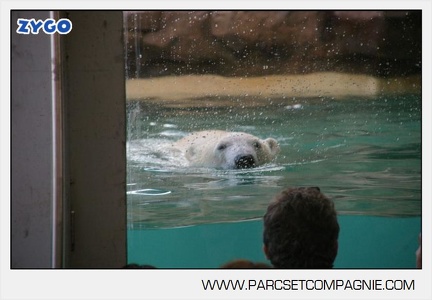 Marineland - Inauguration enclos ours polaires - 2741