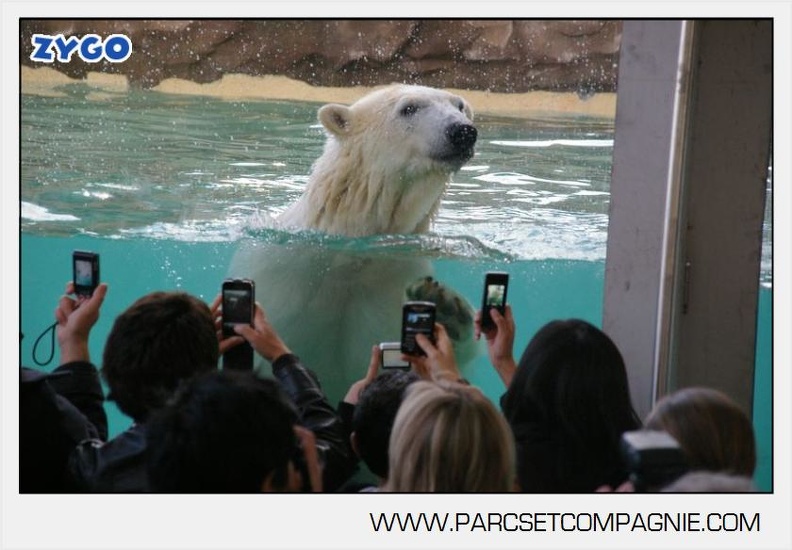 Marineland_-_Inauguration_enclos_ours_polaires_-_2742.jpg
