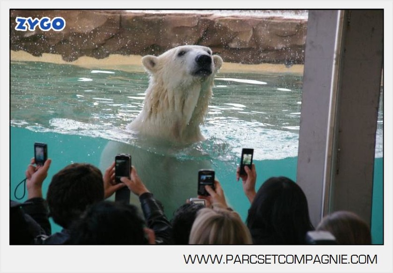 Marineland_-_Inauguration_enclos_ours_polaires_-_2743.jpg