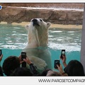 Marineland - Inauguration enclos ours polaires - 2744